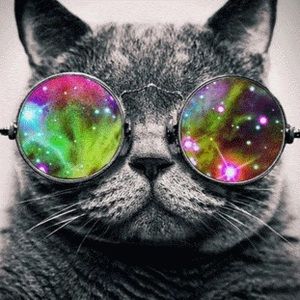 Meet your Posher, Herbism